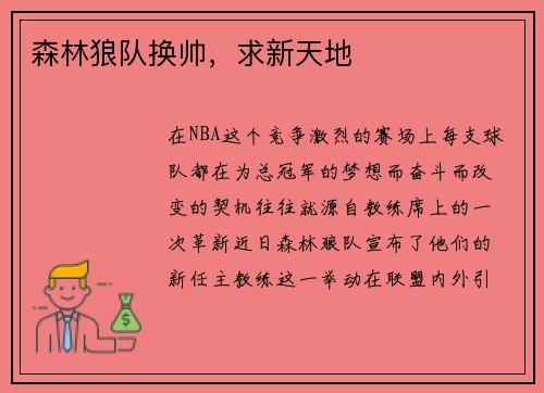 森林狼队换帅，求新天地