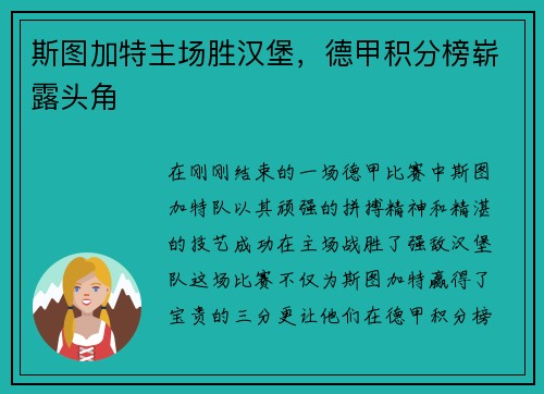 斯图加特主场胜汉堡，德甲积分榜崭露头角