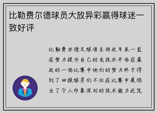 比勒费尔德球员大放异彩赢得球迷一致好评