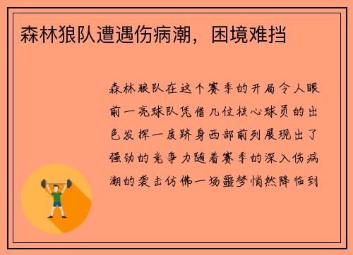 森林狼队遭遇伤病潮，困境难挡