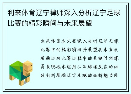 利来体育辽宁律师深入分析辽宁足球比赛的精彩瞬间与未来展望